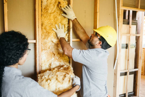 Reliable Hamilton, GA Insulation Solutions